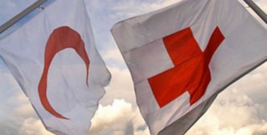 Secretário-Geral da Federação Internacional da Cruz Vermelha e do Crescente Vermelho visita o Egipto