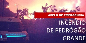 Operação Incêndio Pedrógão Grande (2)